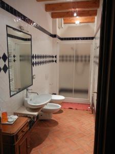 a bathroom with a toilet and a sink and a shower at La Colombarola in Farneto