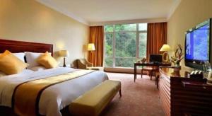 TV a/nebo společenská místnost v ubytování Hongzhushan Hotel Mount Emei