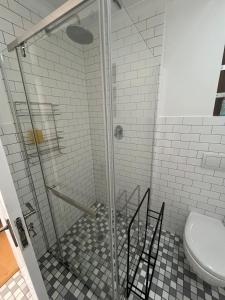 een glazen douche in een badkamer met toilet bij The Sultan Cottage in Stellenbosch +11 foto's