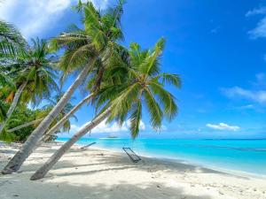 two palm trees on a beach with the ocean at Zora Beach Inn Mathiveri in Mathiveri