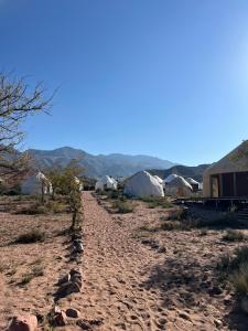 Ein Feldweg, der zu Zelten in der Wüste führt in der Unterkunft Oimo Tash Yurt Camp in Kaji-Say