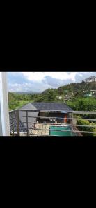 Phong cảnh thiên nhiên gần chỗ nghỉ nhà dân