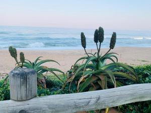 Φυσικό τοπίο κοντά σε αυτό το διαμέρισμα