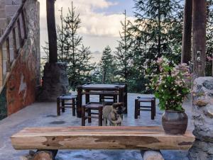 a dog standing on a porch with a table and chairs at Sa Mộc home in Dồng Văn