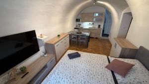 Il comprend un salon avec une télévision à écran plat et une cuisine. dans l'établissement Apartment Široká 52, à Český Krumlov