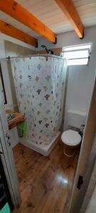 ein Badezimmer mit Toilette und Duschvorhang in der Unterkunft Depto en playa dorada in Playa Dorada