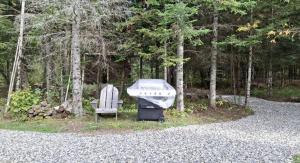 Κήπος έξω από το Gorgeous Yurt in the Adirondacks for a Unique Glamping Getaway near Minerva, New York