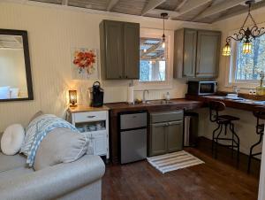 a kitchen with a couch and a sink and a counter at Secluded Mountain Cabin Retreat with Scenic Woodland Views near Black Mountain, NC in Montreat