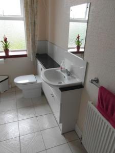 a bathroom with a sink and a toilet and a mirror at Abacus Central Guest House in Aberdeen