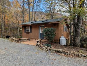 a tiny house in the woods with a porch at Secluded Mountain Cabin Retreat with Scenic Woodland Views near Black Mountain, NC in Montreat +26 photos