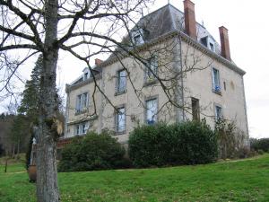 Domaine de Gaudon في Ceilloux: منزل قديم على تلة مع شجرة