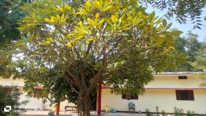 Το κτήριο όπου στεγάζεται  το διαμέρισμα