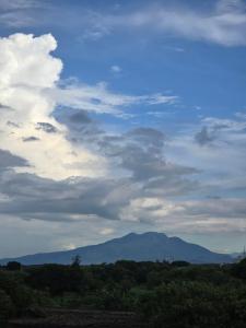 Příroda nedaleko aparthotelu