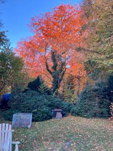 Κήπος έξω από το Ruhiges Ferienhaus direkt am Wald