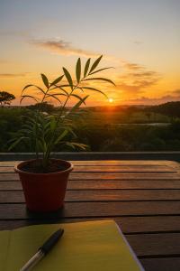 Η ανατολή ή δύση του ηλίου όπως φαίνεται από αυτό το διαμέρισμα ή από εκεί κοντά