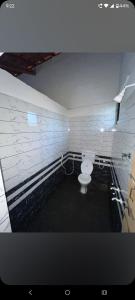 a bathroom with a toilet in a brick wall at Hostel coconut tree in Gokarna