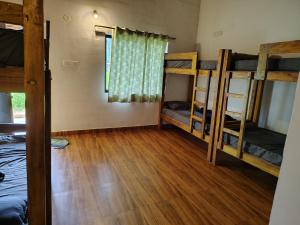 a room with three bunk beds and a window at Hostel coconut tree in Gokarna
