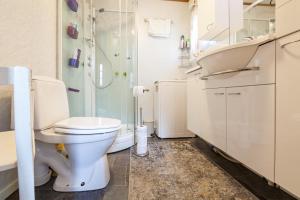 a bathroom with a toilet and a shower at Valen Retro Home, Reine in Reine +24 photos
