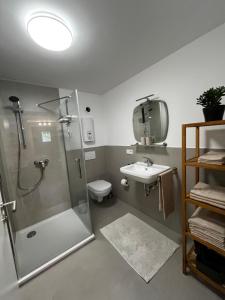 a bathroom with a shower and a toilet and a sink at Ferienwohnung Martha und Nikla in Philippsheim +20 photos