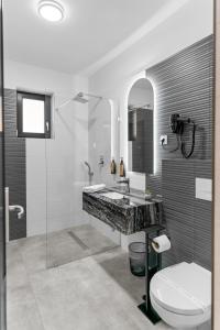 a bathroom with a sink and a toilet at OzonWellness in Harghita-Băi