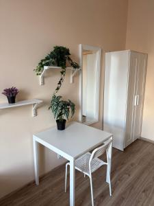 Fotografie z fotogalerie ubytování Oliwka Hostel ve Varšavě