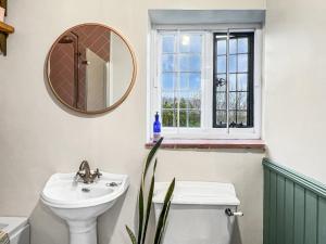 a bathroom with a sink and a toilet and a mirror at Bossington Green Cottage in Porlock