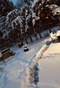 een met sneeuw bedekte tuin met bankjes en bomen op de achtergrond bij Rzeczny Zakątek in Zawoja