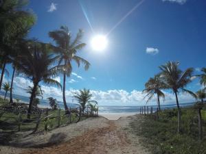 a dirt road leading to a beach with palm trees at Guest House Boki da Zezé in Marau