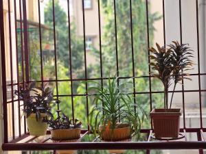 Κήπος έξω από το Spacious 2BHK Flat Modern Comfort Stay