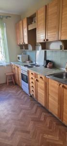 Η κουζίνα ή μικρή κουζίνα στο Flat