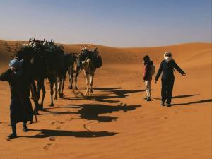 a group of people walking in the desert with a group of camels at Iriki Desert Camp Foum Zguid in Bou Guir