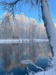 Příroda nedaleko prázdninového domu + 32 fotografií