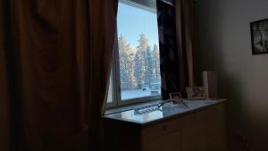 Φωτογραφία από το άλμπουμ του Arctic Landhaus σε Sotkamo