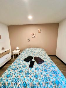 een slaapkamer met een bed met twee zakken erop bij Le Petit Frontalier in Terville +2 foto's