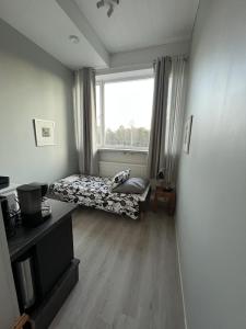 a living room with a bed and a window at Inari Camping & Resort in Inari