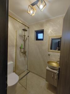 a bathroom with a shower and a toilet and a sink at Râului 43 in Ocna-Mureşului +29 photos