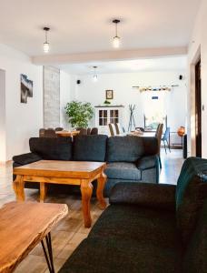 ein Wohnzimmer mit Sofa und Tisch in der Unterkunft Pensiunea Ioana in Sadová