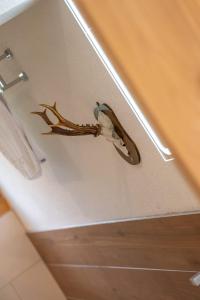 a scorpion on the corner of a bathroom wall at Reste Fidèle Duplex in Fiesch