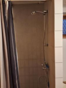 a shower with a shower head in a bathroom at Lille bolig med egen indgang in Holte