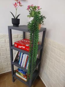 Η βιβλιοθήκη του καταφυγίου