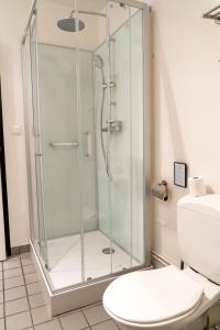 a shower stall in a bathroom with a toilet at Maison 2 in Souvigny +5 photos