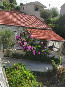 Vườn quanh apartman house Bjedov