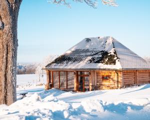 VilinaMetsapiiga Puhkemaja的雪地里的小木屋,有树