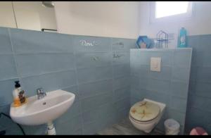 une salle de bain avec un lavabo et des toilettes et un lavabo dans l'établissement Résidence Abyssia, à Ensisheim