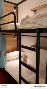 a couple of bunk beds in a room at NongKhiaw Mimosa Dormitory in Nongkhiaw