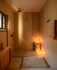 a bathroom with a shower with a toilet and a sink at Themis Coddess Cave Suites in Santorini
