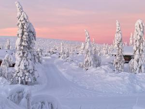 Sälen Gruvens fäbod في سالن: غابة ثلجية بأشجار مغطاة بالثلوج وسماء وردية
