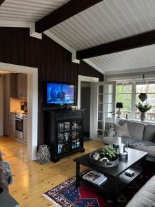 Sälen Gruvens fäbod في سالن: غرفة معيشة مع أريكة وتلفزيون