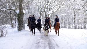 Άλλα ζώα σε αυτή η παραθεριστική κατοικία ή στη γύρω περιοχή