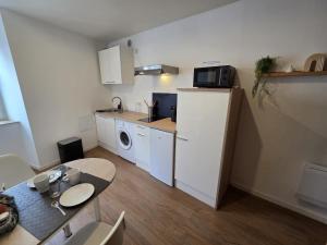 Köök või kööginurk majutusasutuses Le Simba - grand studio avec Wi-Fi